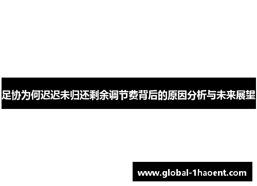 足协为何迟迟未归还剩余调节费背后的原因分析与未来展望