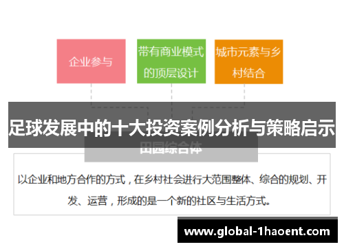 足球发展中的十大投资案例分析与策略启示 足球发展中的十大投资案例分析与策略启示