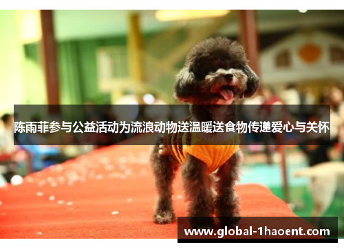 陈雨菲参与公益活动为流浪动物送温暖送食物传递爱心与关怀